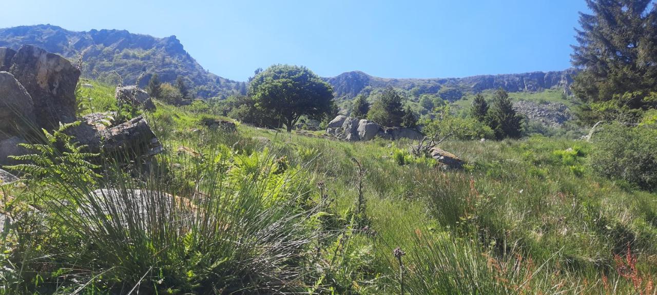 Le Domaine De Pairis Hotel Orbey Bagian luar foto
