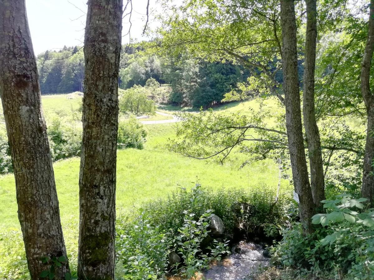 Le Domaine De Pairis Hotel Orbey Bagian luar foto
