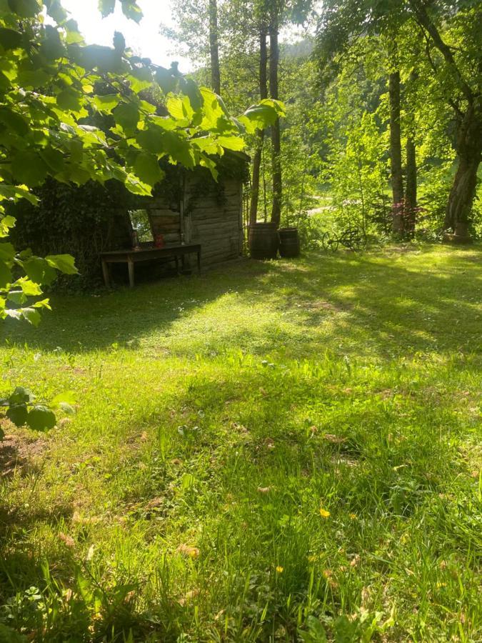 Le Domaine De Pairis Hotel Orbey Bagian luar foto